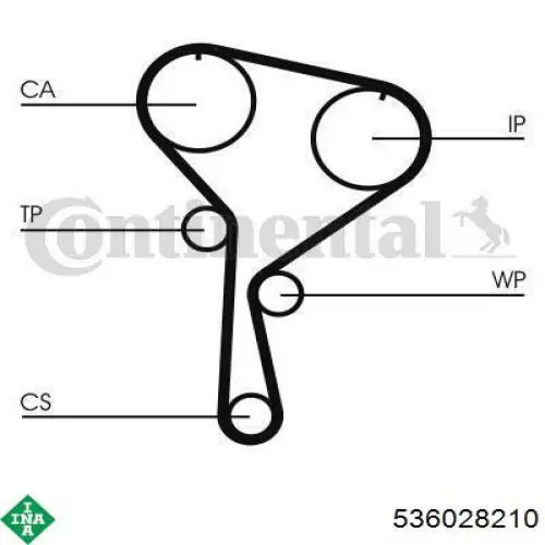 Correa distribucion Nissan Qashqai 1 J10