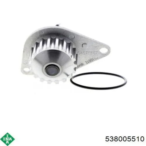 Bombeadora de agua INA 538005510 precio, desde 36,43 EUR