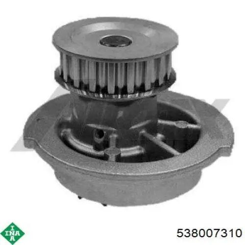 Bombeadora de agua INA 538007310 precio, desde 43,56 EUR