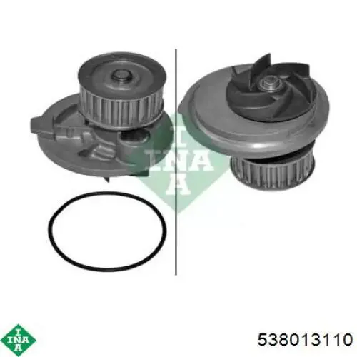 Motor de agua INA 538013110