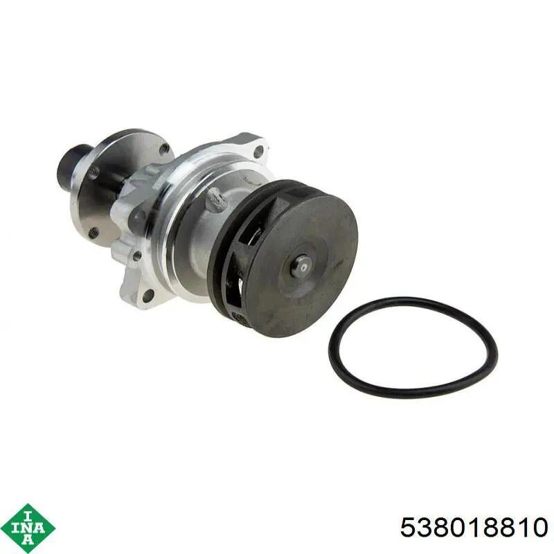 Bombeadora de agua INA 538018810 precio, desde 41,14 EUR