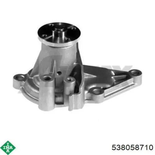 Bombeadora de agua INA 538058710 precio, desde 49,88 EUR