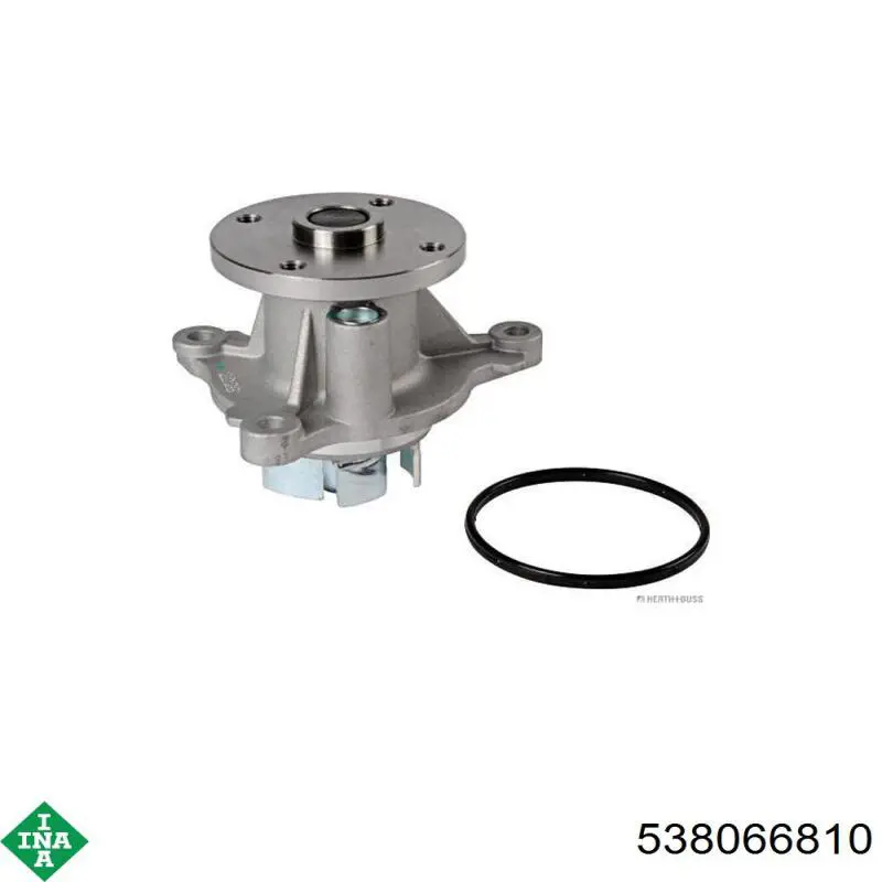 Bombeadora de agua INA 538066810 precio, desde 74,84 EUR