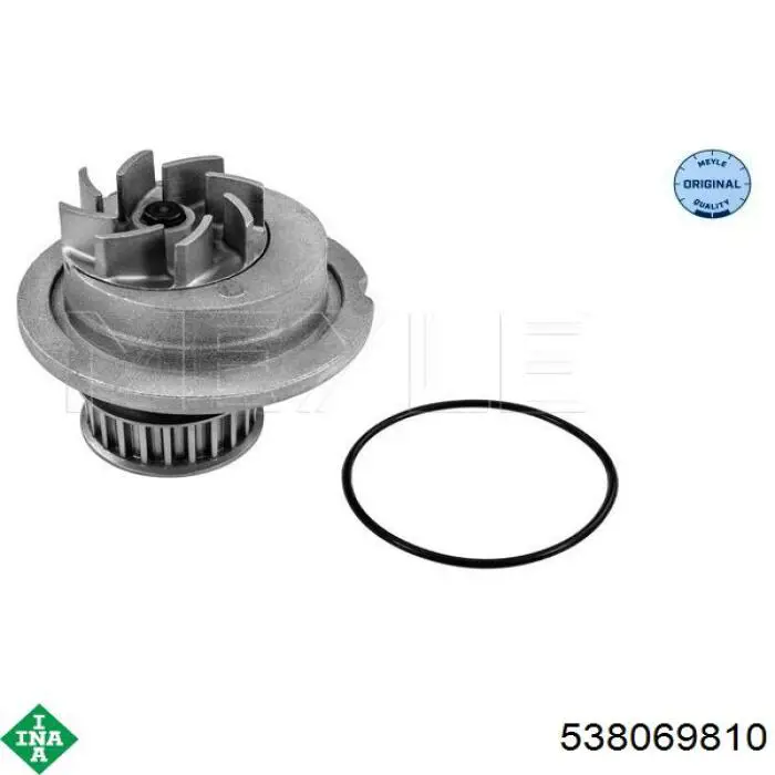 Comprar 538069810 INA Bomba de agua para motor