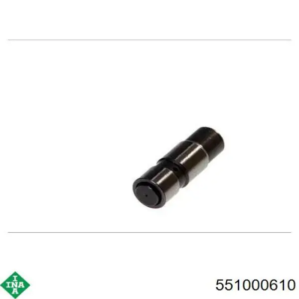 Tensor de cadena de distribución INA 551000610 precio, desde 79,75 EUR