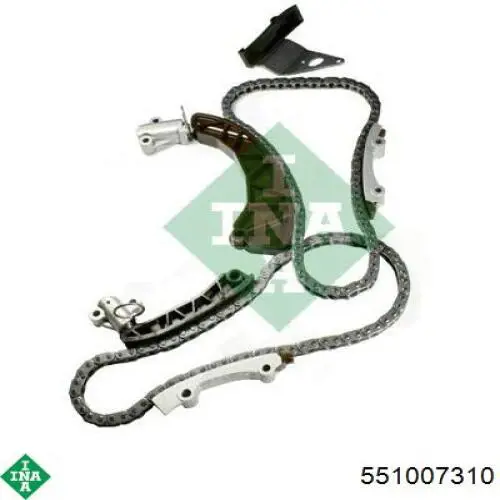 Tensor de cadena de bomba de aceite INA 551007310 precio, desde 4,94 EUR