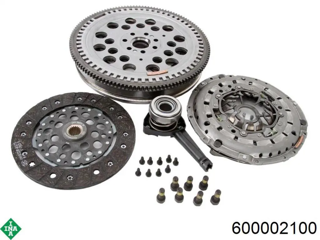 600002100 INA volante motor