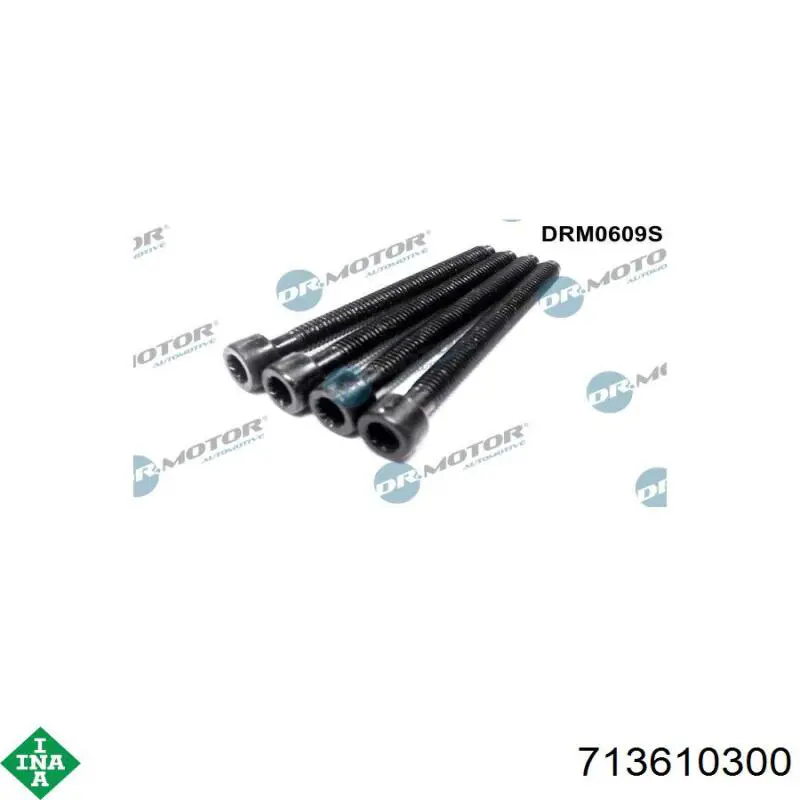 713610300 INA Rodamientos de rueda delantero
