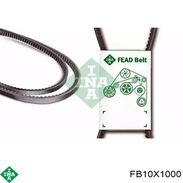 FB10X1000 INA Correa poly v