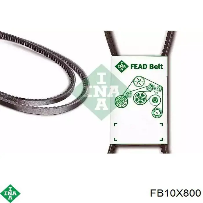 FB10X800 INA Correa poly v