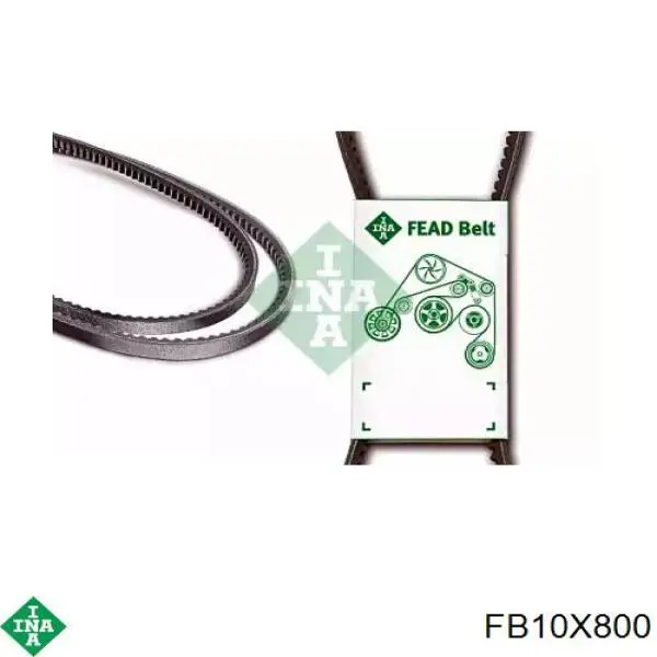 Correa de transmisión trapezoidal INA FB10X800 precio, desde 8,20 EUR