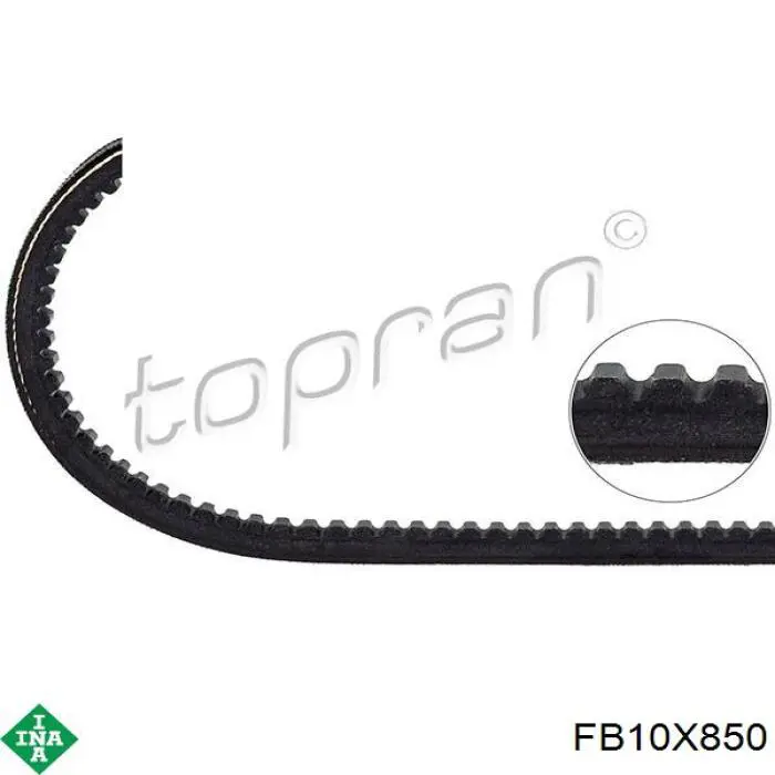 Correa de alternador FB10X850 INA