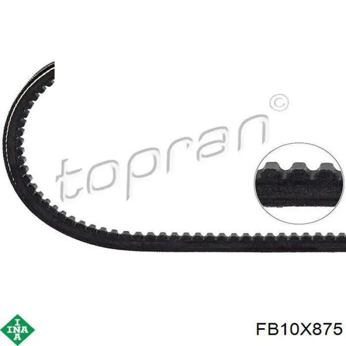 Comprar FB10X875 INA Correa trapezoidal