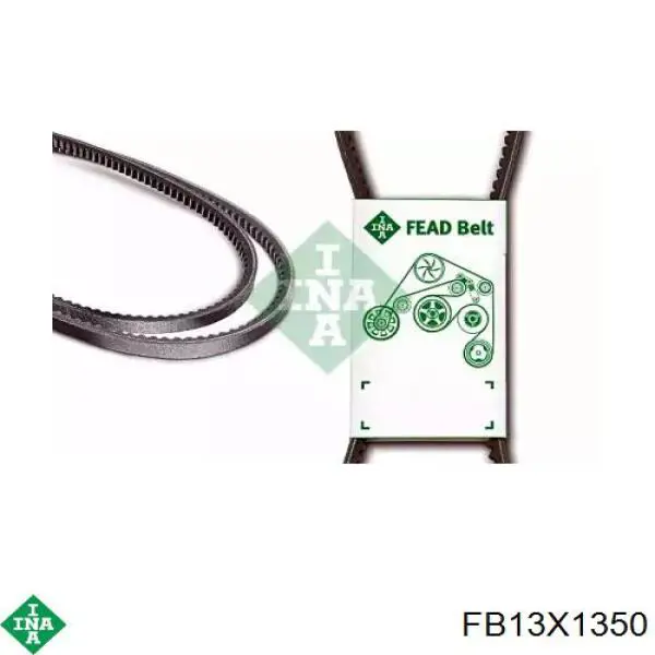 Correa de transmisión trapezoidal INA FB13X1350 precio, desde 18,63 EUR