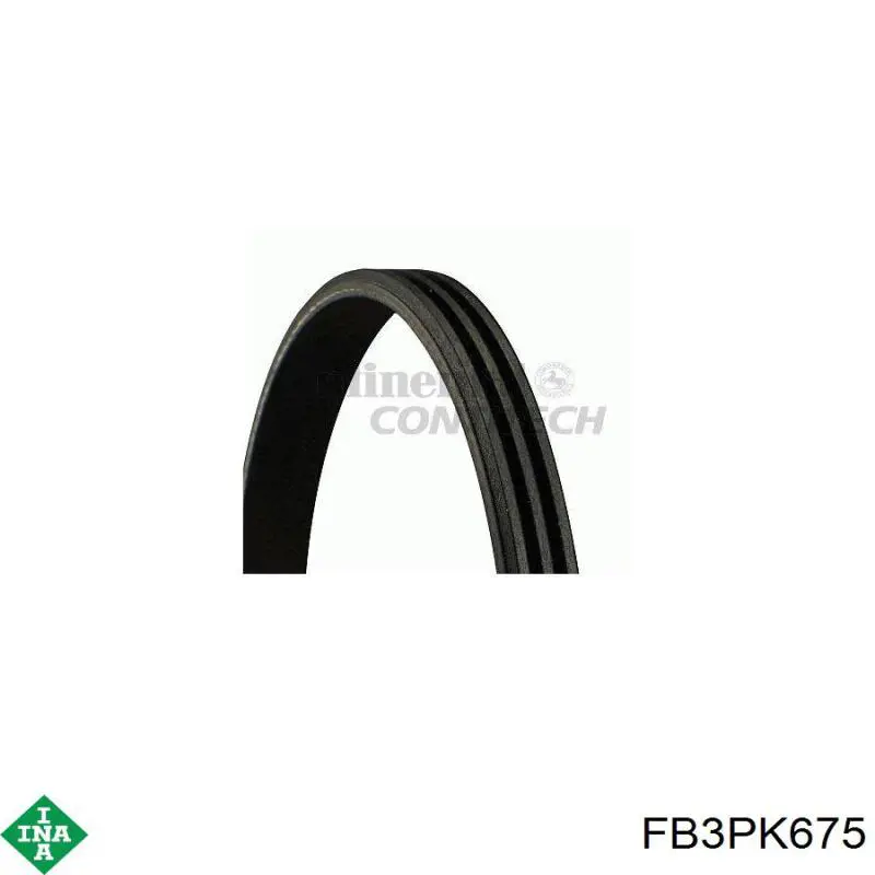 Correa de alternador FB3PK675 INA