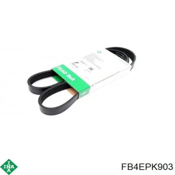 Correa accesorios INA FB4EPK903