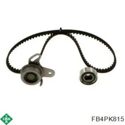 FB4PK815 INA Correa poly v