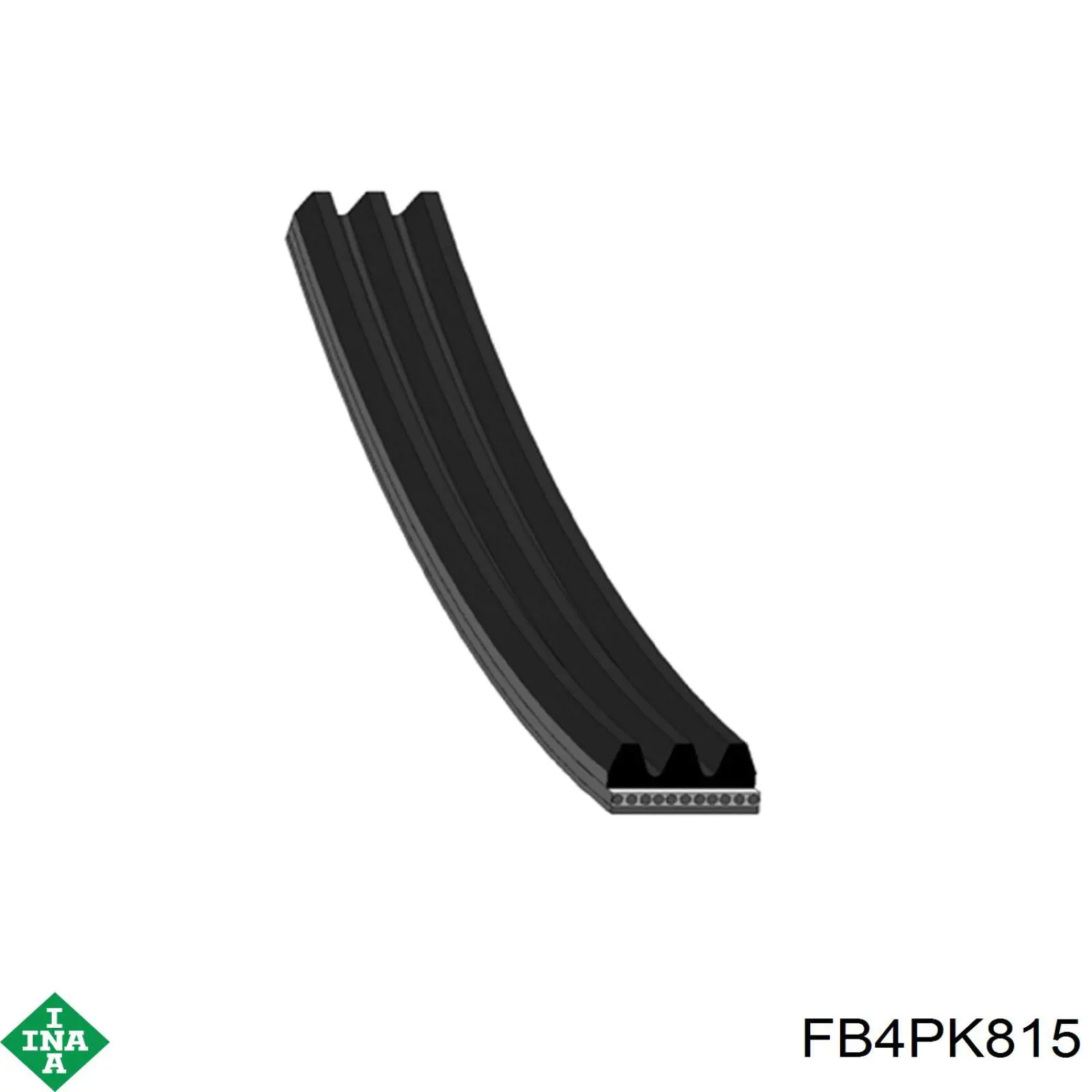 Correa accesorios INA FB4PK815