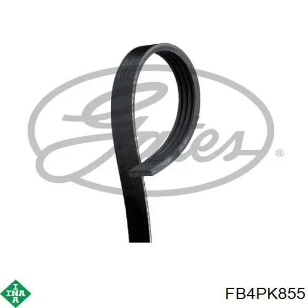 Correa trapezoidal Fiat Palio 178DX