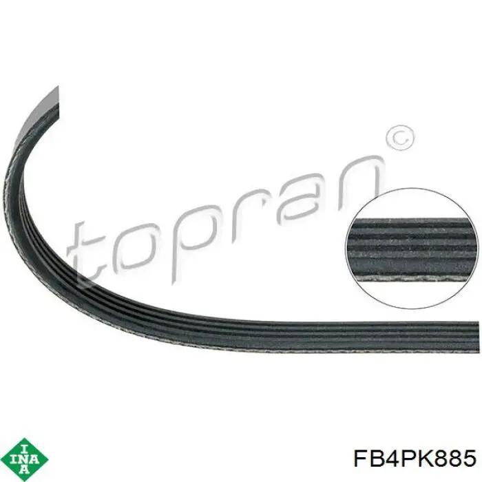 Correa de alternador FB4PK885 INA