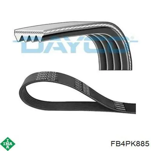 Correa accesorios INA FB4PK885