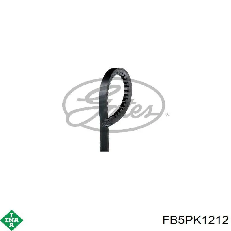 Correa de alternador FB5PK1210 INA