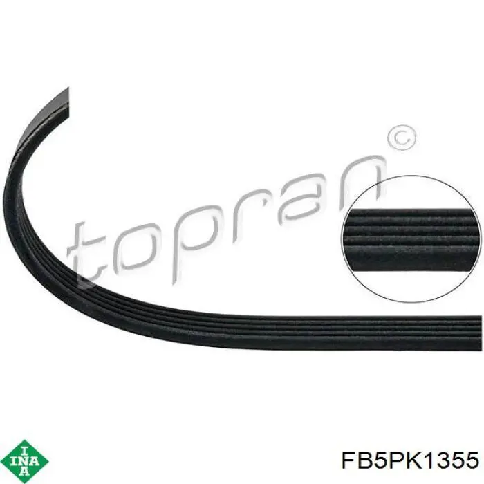 Comprar FB5PK1355 INA Correa trapezoidal