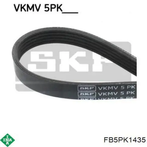 Correa de alternador FB5PK1435 INA