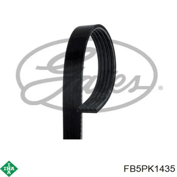 Correa de transmisión trapezoidal INA FB5PK1435 precio, desde 22,92 EUR