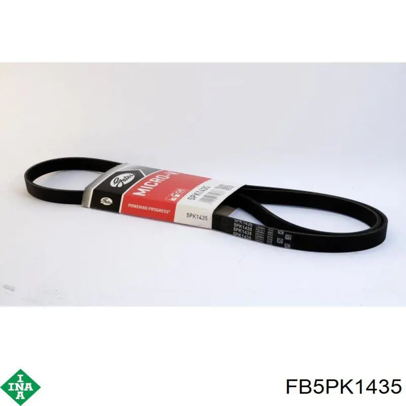 FB5PK1435 INA Correa poly v
