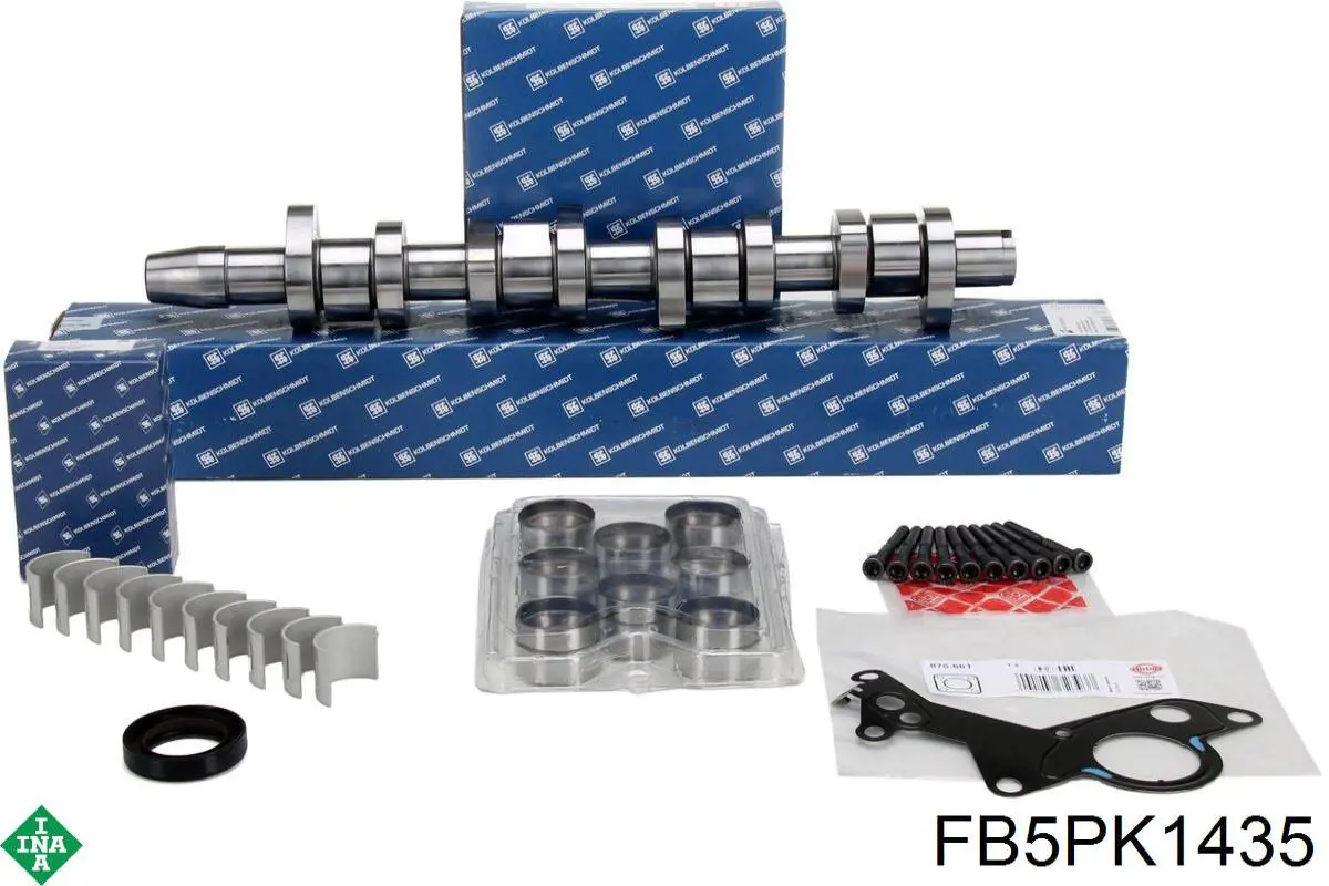 Correa accesorios INA FB5PK1435