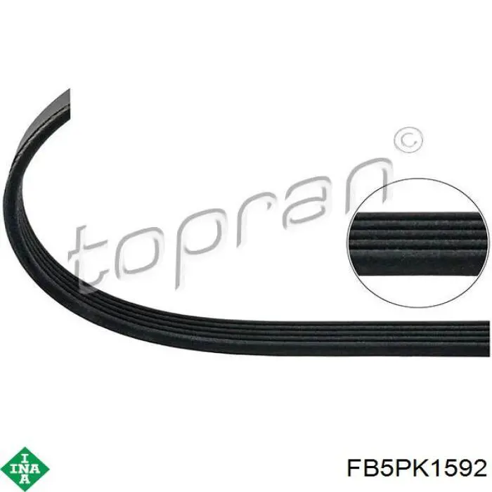 Correa de transmisión trapezoidal INA FB5PK1592 precio, desde 26,77 EUR