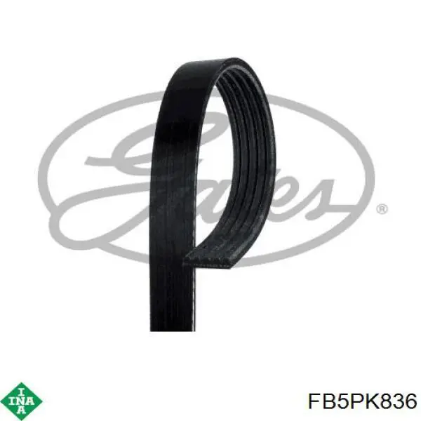 Correa de transmisión trapezoidal INA FB5PK836 precio, desde 11,09 EUR
