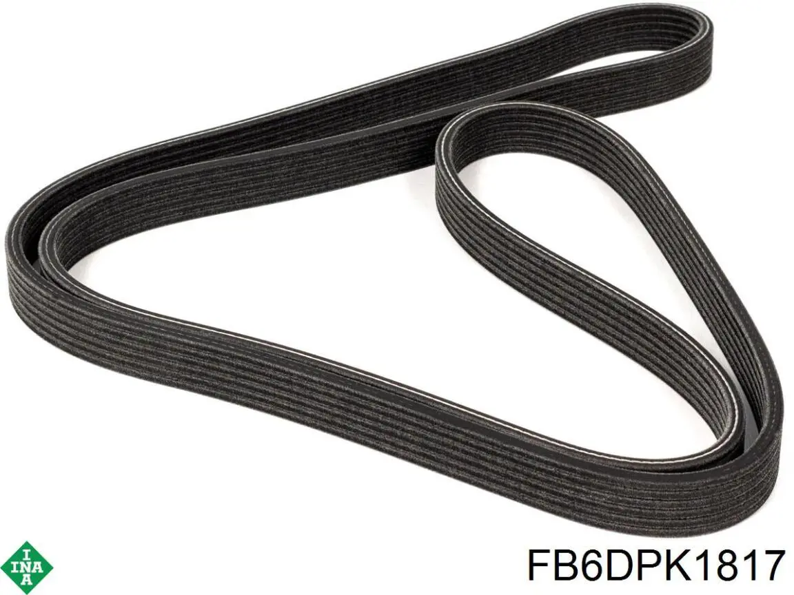 Correa de transmisión trapezoidal INA FB6DPK1817 precio, desde 66,04 EUR