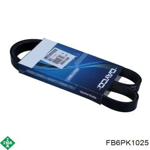 FB6PK1025 INA Correa poly v