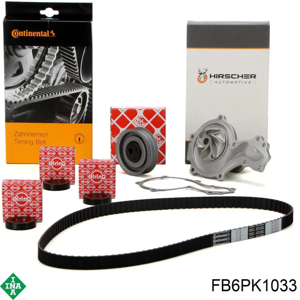 305P0053 Ridex Correa poly v