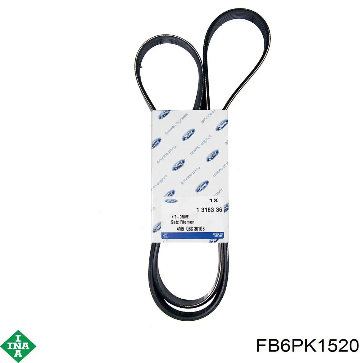 Correa de alternador FB6PK1520 INA