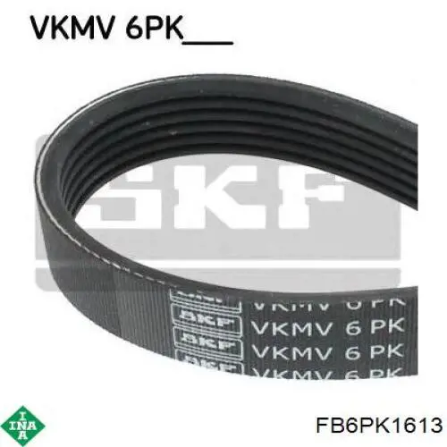 FB6PK1613 INA Correa poly v