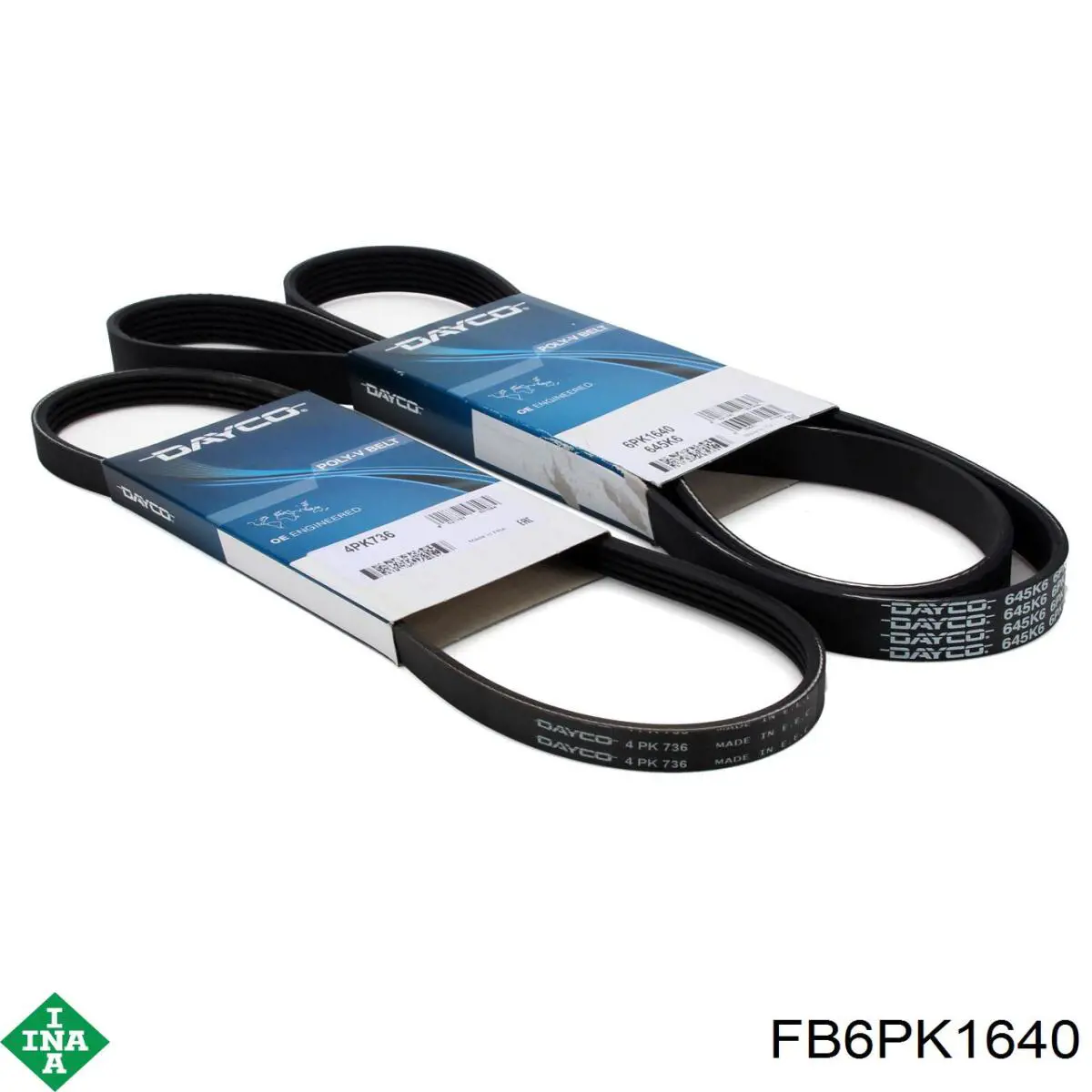 FB6PK1640 INA Correa poly v