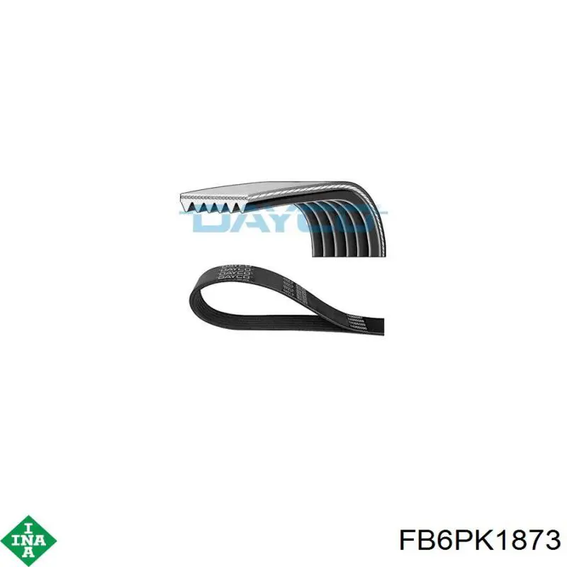 Correa de alternador FB6PK1873 INA