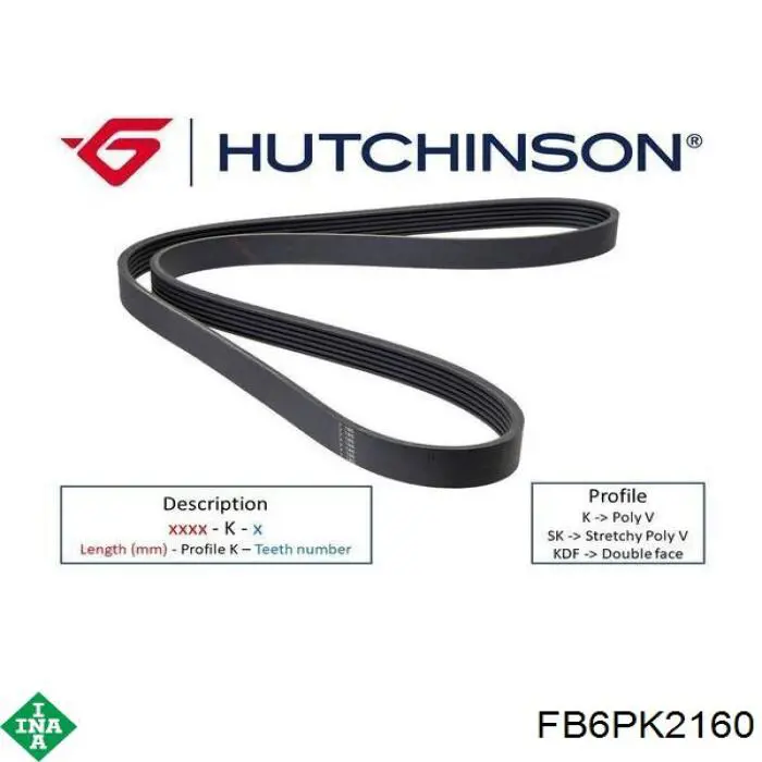Correa de alternador FB6PK2160 INA