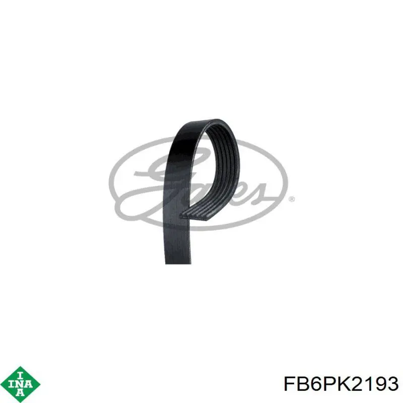 Correa de transmisión trapezoidal INA FB6PK2193 precio, desde 35,59 EUR