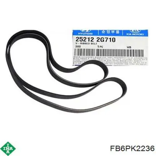Correa de alternador FB6PK2236 INA