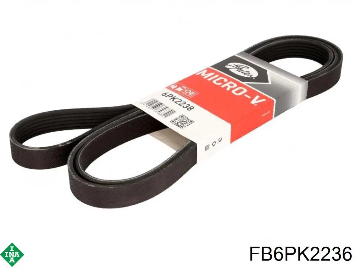 FB6PK2236 INA Correa poly v