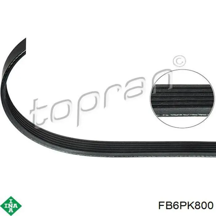 Comprar FB6PK800 INA Correa trapezoidal