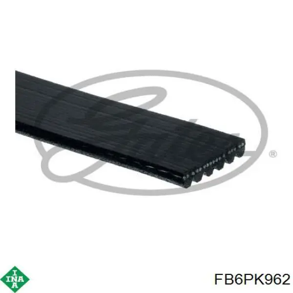 Correa accesorios INA FB6PK962