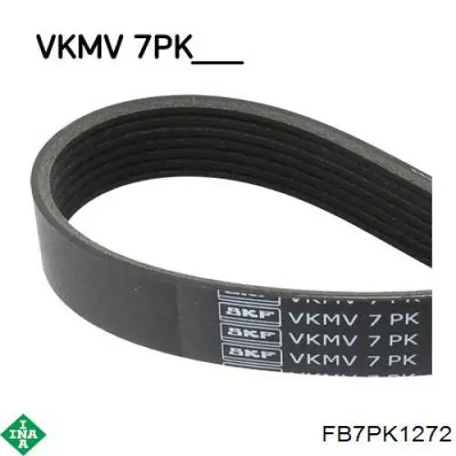 FB7PK1272 INA Correa poly v