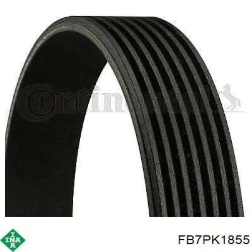 Comprar FB7PK1855 INA Correa trapezoidal