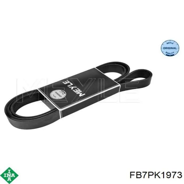Correa accesorios INA FB6PK1973