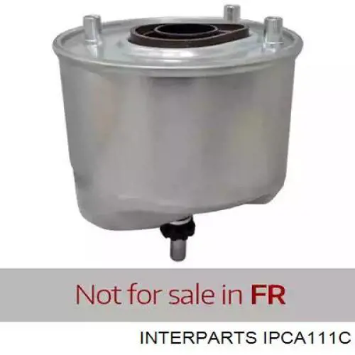 IPCA111C Interparts Filtro antipolen